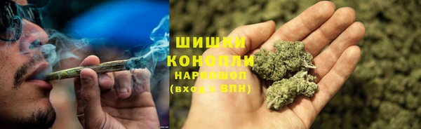сатива Билибино