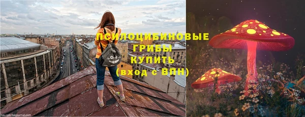скорость mdpv Новодвинск