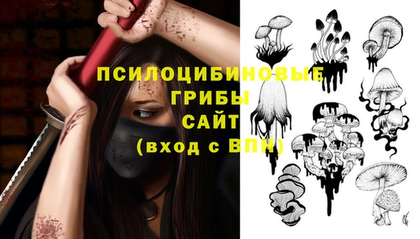 кокаин колумбия Новозыбков