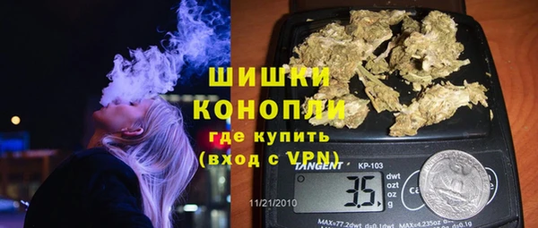 сатива Билибино
