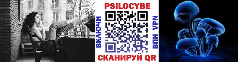 Псилоцибиновые грибы Psilocybine cubensis blacksprut онион darknet состав где купить наркоту Палласовка
